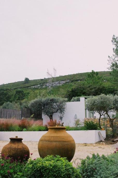 Casa Oliva - Casa Do Lago Porto de Mós Екстериор снимка