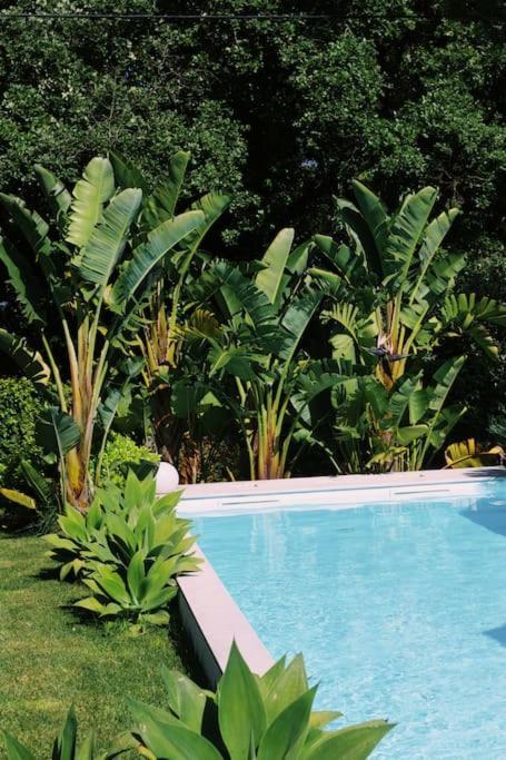 Casa Oliva - Casa Do Lago Porto de Mós Екстериор снимка