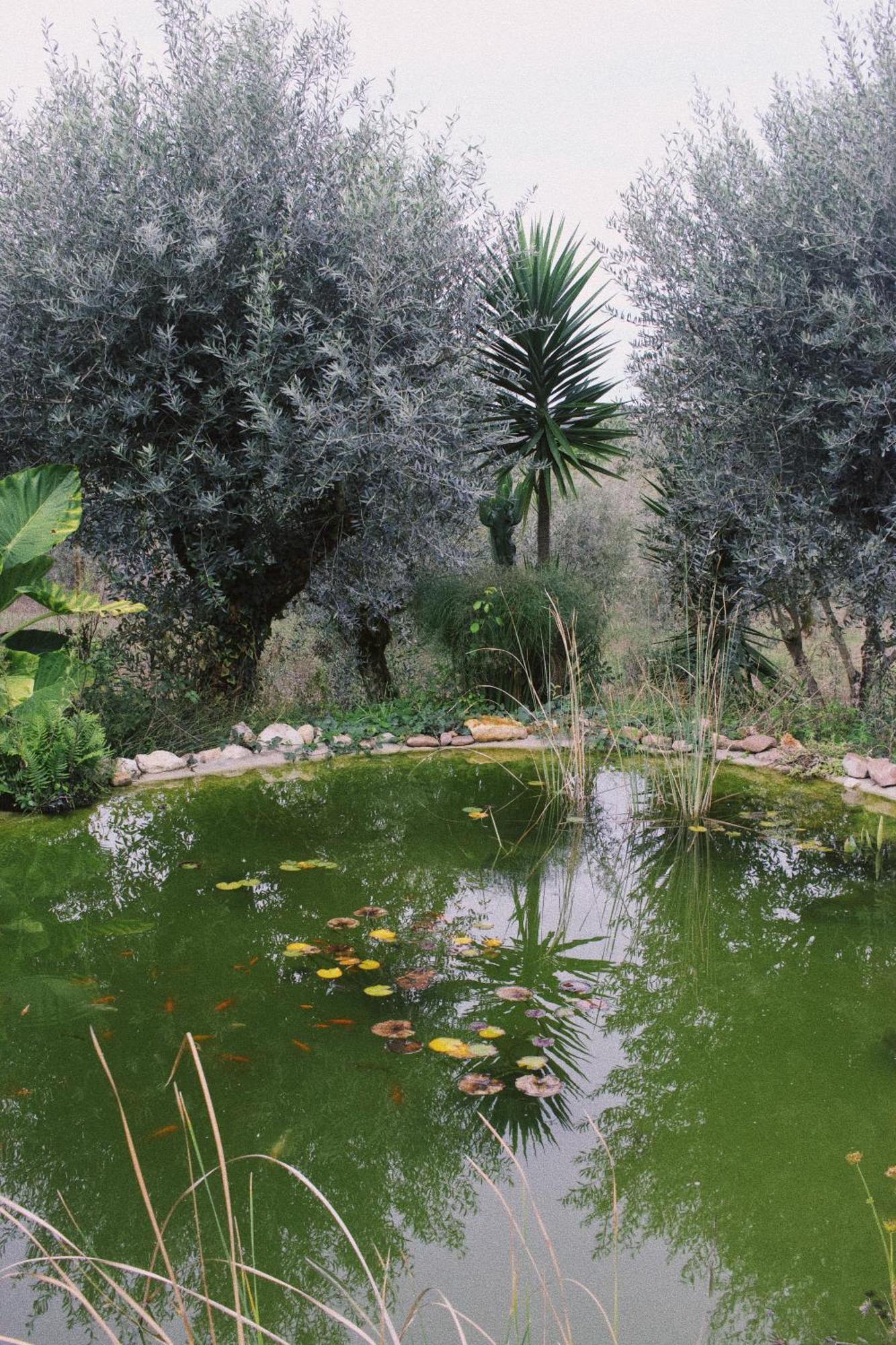 Casa Oliva - Casa Do Lago Porto de Mós Екстериор снимка